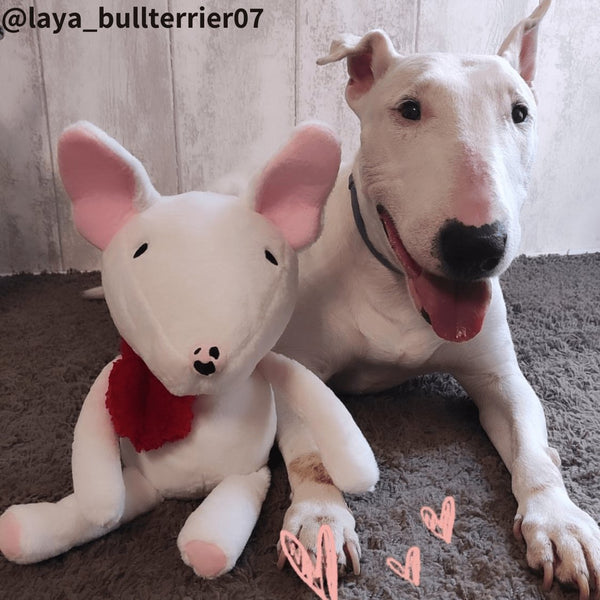 Peluche Bull Terrier