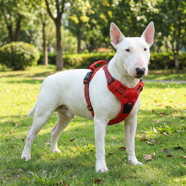 Arnés reflectante para perros sin tirones