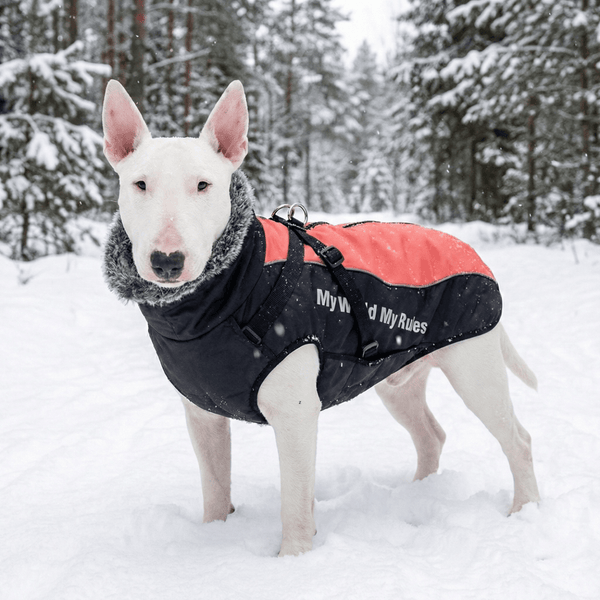 Caldo gilet invernale impermeabile